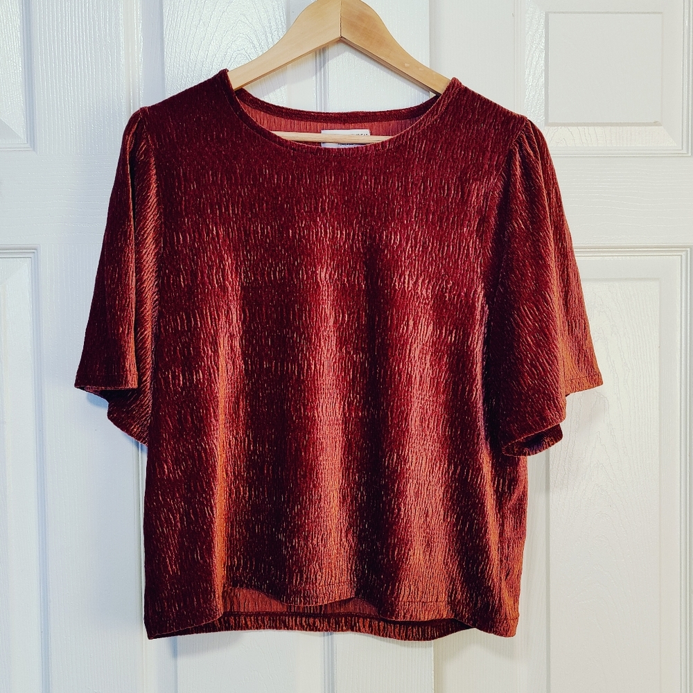 NWT Madewell rust velvet shirt with flutter sleeves